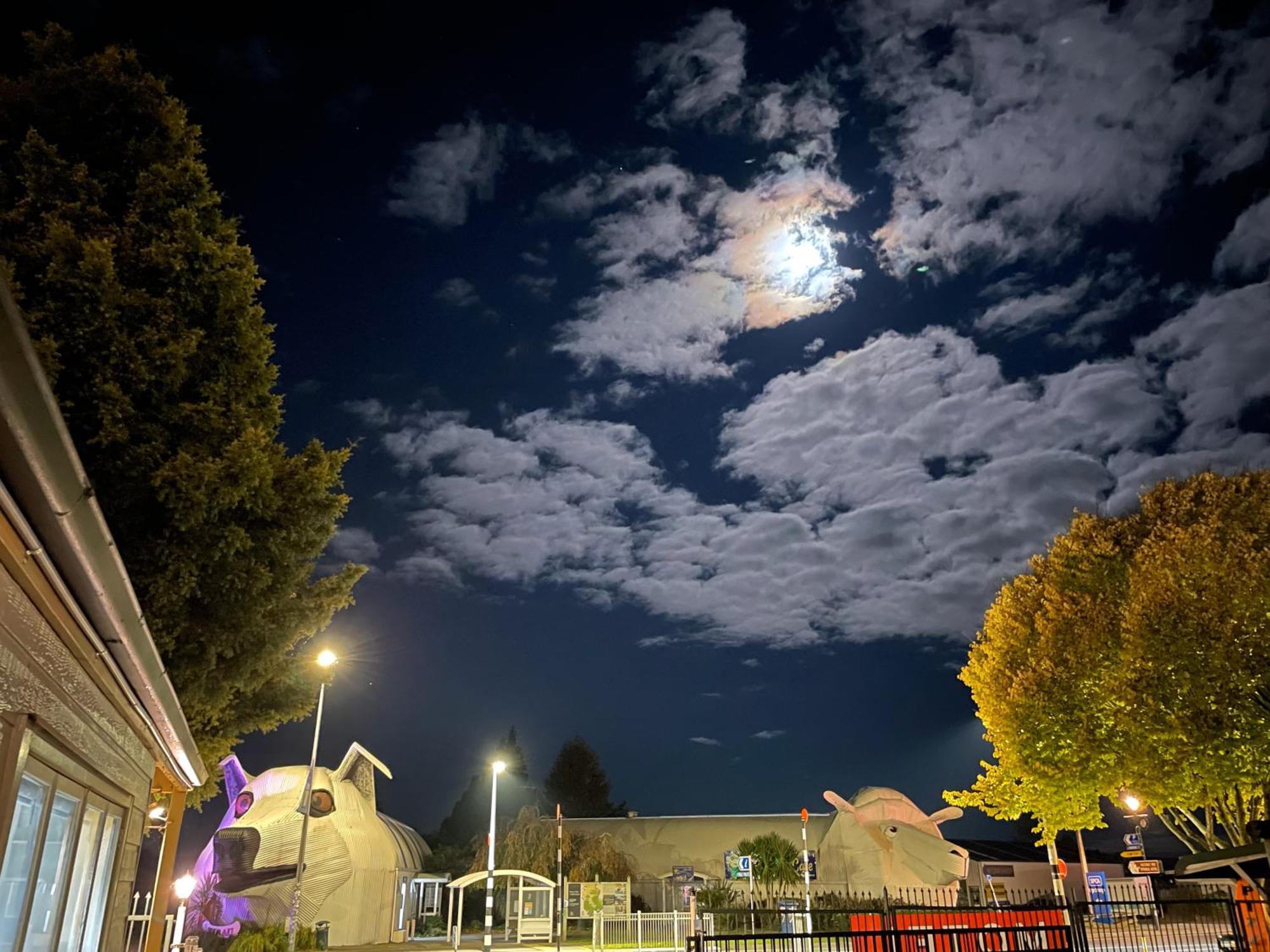 Tirau Motor Inn Luaran gambar